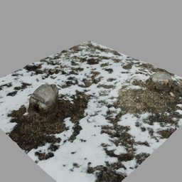 Two Tree Stumps on Snowy Ground