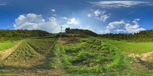 Green fields