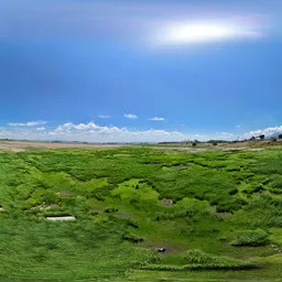 Green grass bluesky clouds