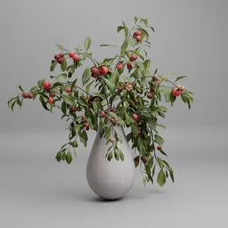 Apple Tree Branches