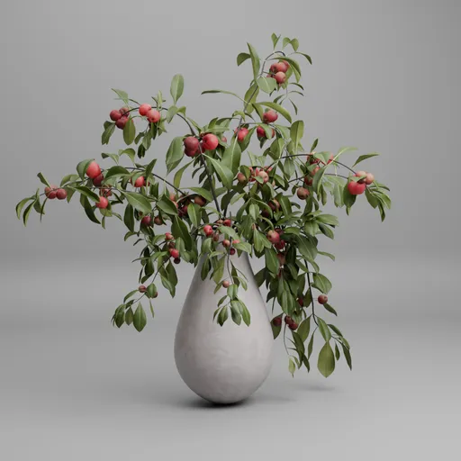 Apple Tree Branches