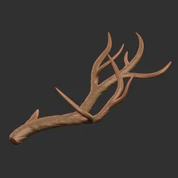 Branch Antler
