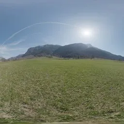 Alps Field
