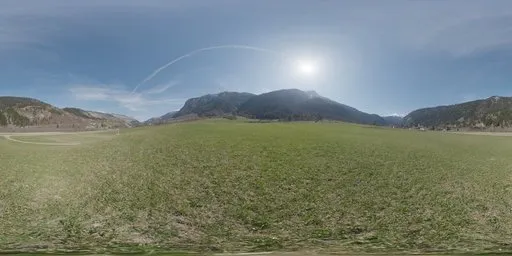Alps Field