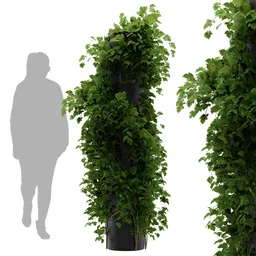 simple ivy column plant