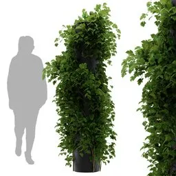 simple ivy column plant
