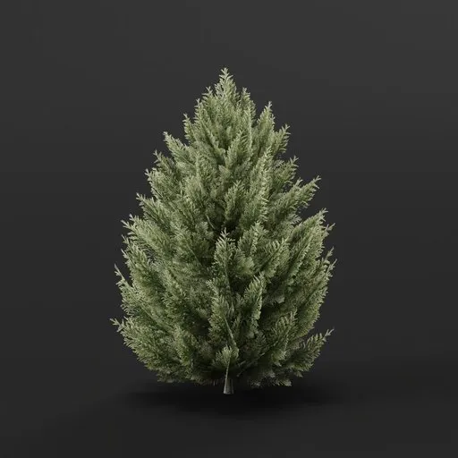 High-detail 3D model of a large Red Cedar bush for Blender, suitable for game assets and virtual landscaping.
