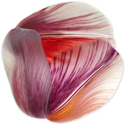 Tulip Mania Red Shell Carpet