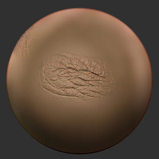 ER_Human Skin(T) 99