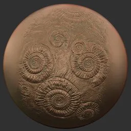 ER Fossil Brush-ammonites