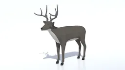 Low Poly White-tailed Deer