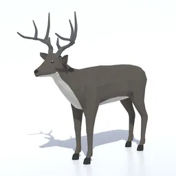 Low Poly White-tailed Deer