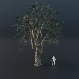 Oak Tree - Gnarled (Summer)