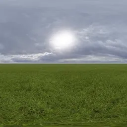 Green grass cloudy blue sky pure sky