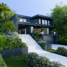 Modern Black Villa