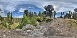 360-degree HDRI panorama of sunlit forest with clear blue sky for realistic lighting in 3D scenes.