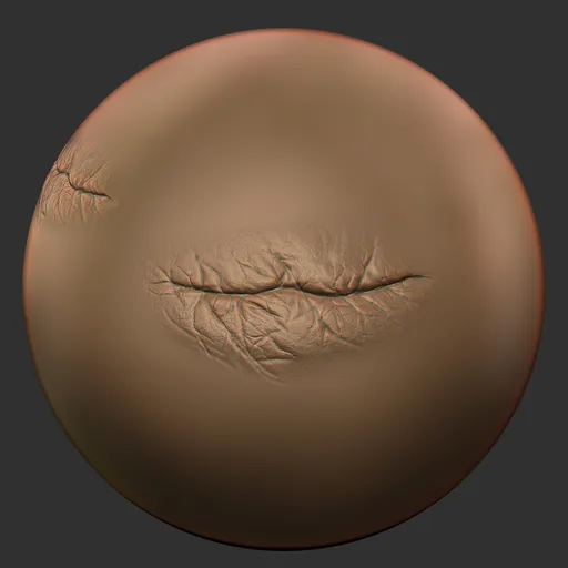 ER_Human Skin(T) 97