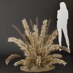 SJ- Pampas Nature Glow Bush