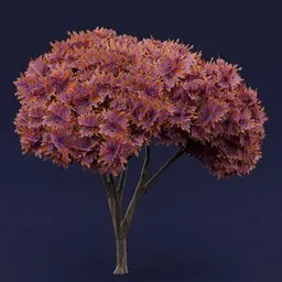 Flowered orange leaved tree