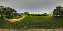 Green grass at night