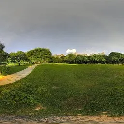Green grass at night