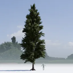 Pine Tree Low Poly variation