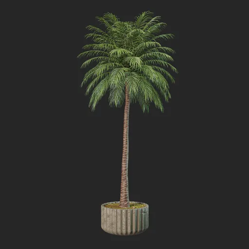 Plant
