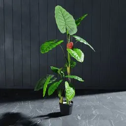 "Artificial Colocasia tree 3D model for Blender 3D - Modify the plant to fit your scene easily. Based on real product, this plant comes in a pot and features finely detailed leaves and thin red veins. Perfect for adding greenery to your 3D renderings."