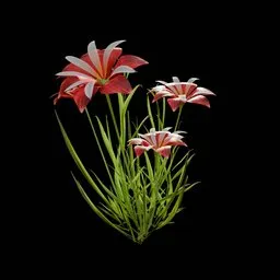 Red Flower
