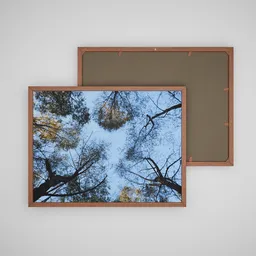 Autumn colection picture