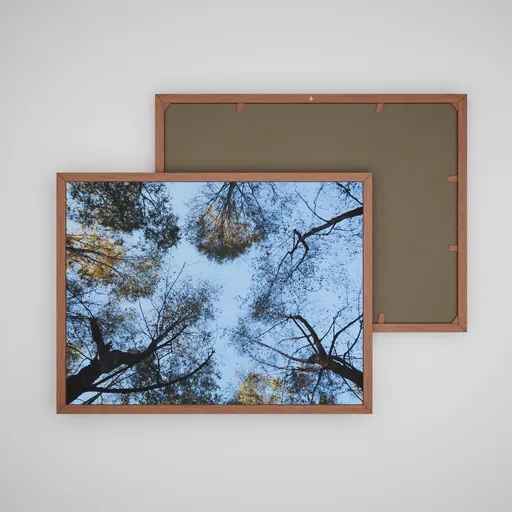 Autumn colection picture