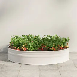 Strawberry Garden Planter