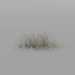 Grass cluster