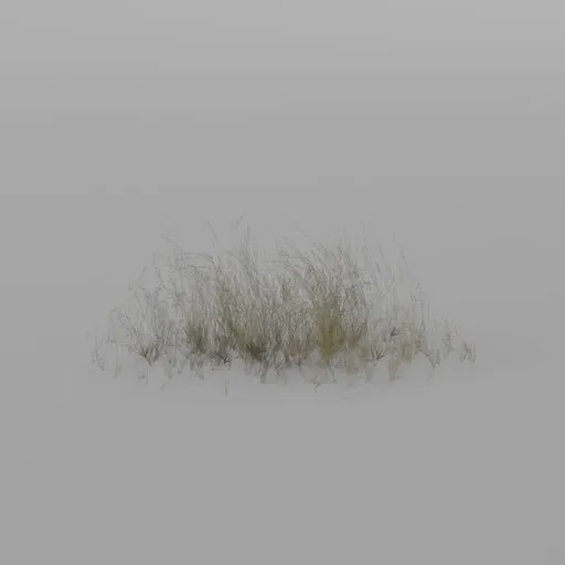Grass cluster