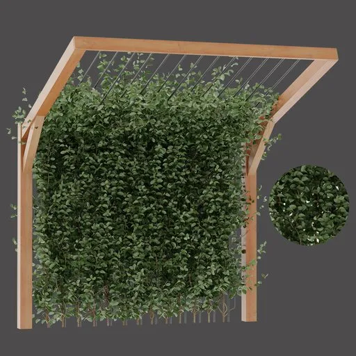 Hanging Vine Curtain