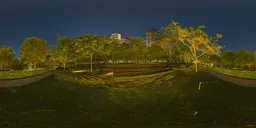 Hill grass at night
