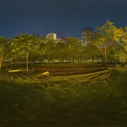Hill grass at night