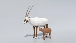 Detailed low poly 3D Blender model of an Arabian Oryx adult with calf, optimized for CG visualization.