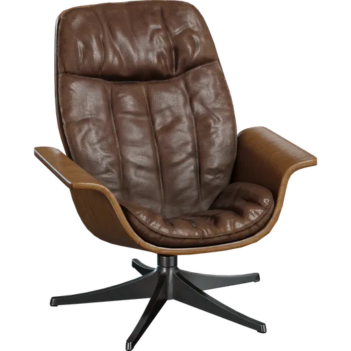 Mid Century Lounge Chair