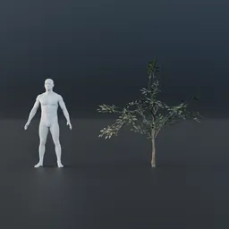 Oak Tree - Sapling Small (Summer)