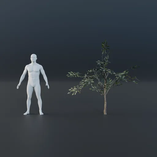 Oak Tree - Sapling Small (Summer)