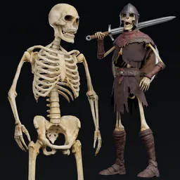 Skeleton Character Riged