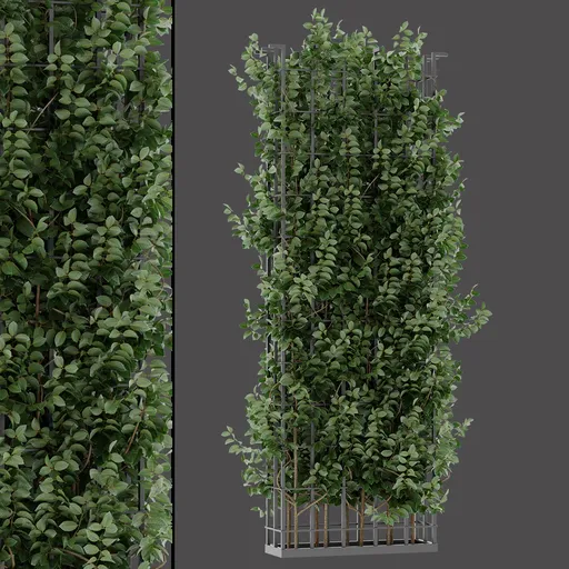 Vertical Vine Structure