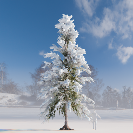 Blenderkit Download The Pine Tree With Snow Model