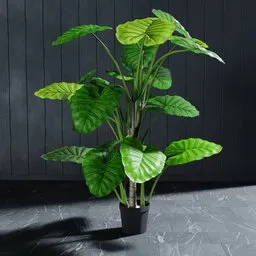 "Artificial Colocasia Tree 3D model for Blender 3D: Highly detailed, tall plant with big leaves and stems, inspired by Carpoforo Tencalla, can be modified to fit your scene. Based on a real product, perfect for adding lush greenery to your virtual worlds."