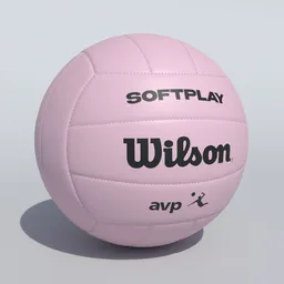 Volleyball Ball Wlson Softplay