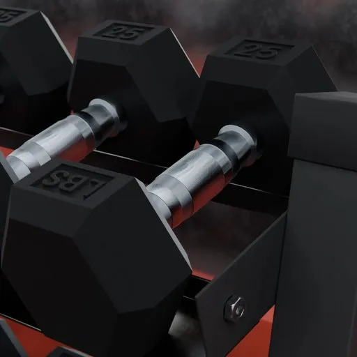 Barbell 25 Lbs