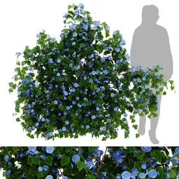 flower ivy wall plant