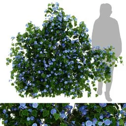 flower ivy wall plant