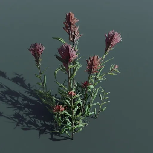 Detailed 3D render of a realistic plant with lush green leaves and vibrant red flowers, suitable for Blender Archviz and game assets.
